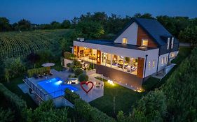 Riverside Pool Villa-Sremski Karlovci